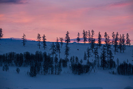 夕阳下的禾木村雪景