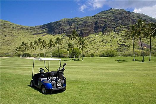 夏威夷,瓦胡岛,高尔夫,胜地,高尔夫球车,山峦,棕榈树,背景