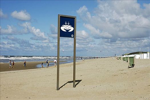 标识,海滩,螃蟹,荷兰南部,荷兰