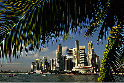 城市天际线,码头,湾,新加坡