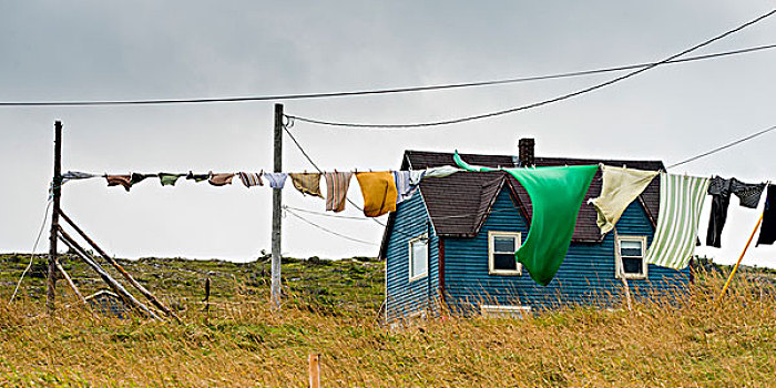 洗衣服,悬挂,户外,房子,小,卡塔琳娜,纽芬兰,拉布拉多犬,加拿大