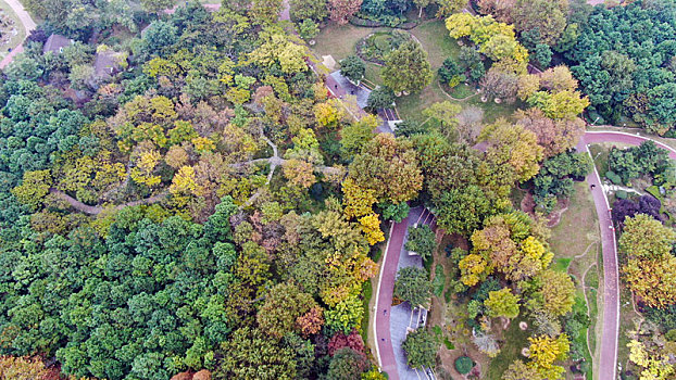 山东省日照市,航拍深秋时节的植物园,色彩斑斓景色迷人