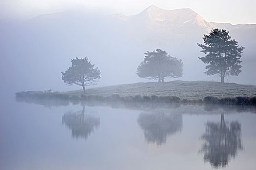 三个,树,反射,水,湖,雾,风景,山
