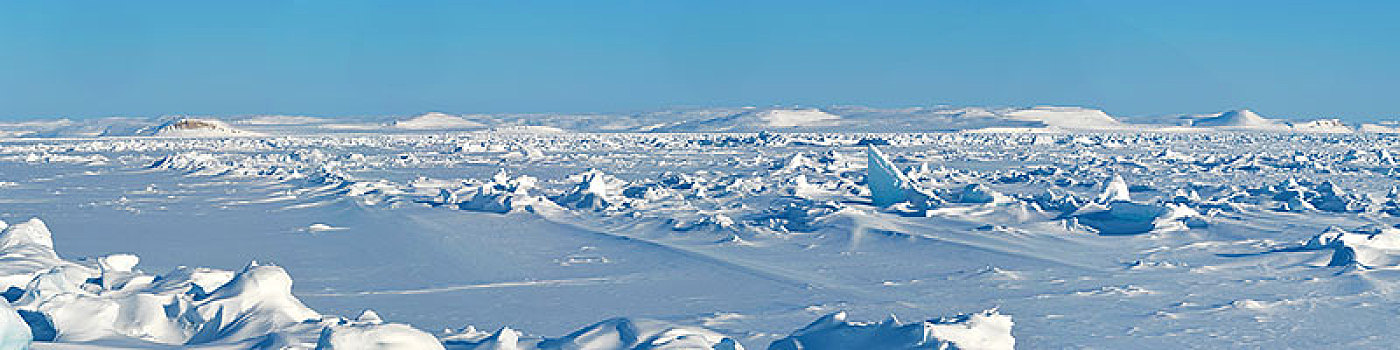 冰,雪,北极,风景,努纳武特,领土,加拿大,北美