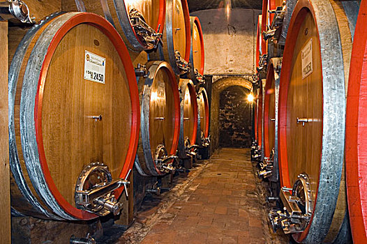 葡萄酒,桶,地窖,葡萄酒厂,托斯卡纳,意大利,欧洲
