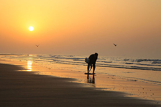 清晨5点的沙滩上,6旬老人扛着锄头淘鲜