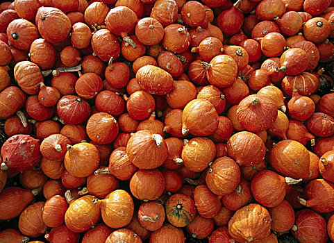 南瓜,许多,特写,葫芦科,浆果,食物,装饰,小,橙色,多样性,数量,丰收,季节,秋天,收获,彩色,静物