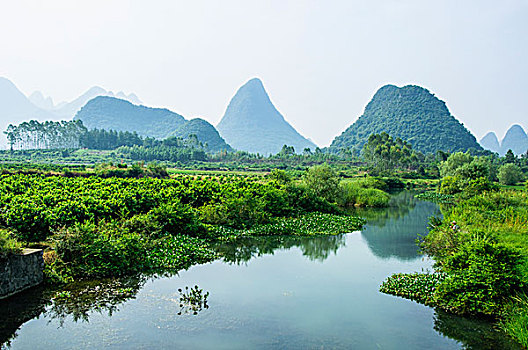 桂林田园风光