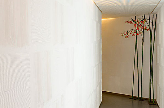 植物,走廊,公寓,铜锣湾,香港,设计师