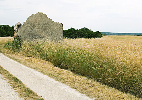 乡村风光,小麦田,建筑,遗址