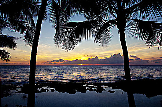 夏威夷,瓦胡岛,彩色,日落,西部,岸边