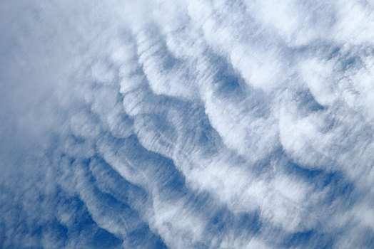波纹,卷积云,云,背景,加拿大,北美