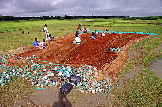 渔民,弄干,网,河岸,孟加拉,七月,2005年,收入,降临节,季风,河,水,移动,鱼,捕鱼