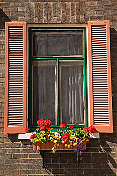 窗户,花,盒子,芸香,城镇,区域,魁北克老城,城市,魁北克,加拿大