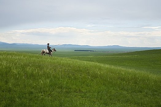 牧羊人,骑,马背,草场,蒙古,中国