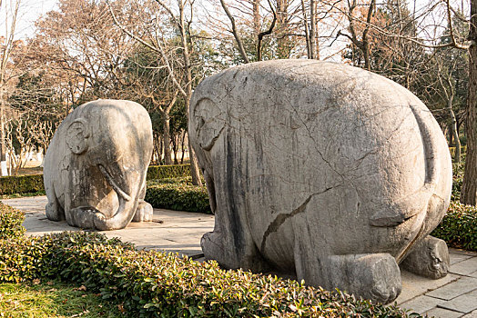 南京明孝陵石象路景区石象雕塑