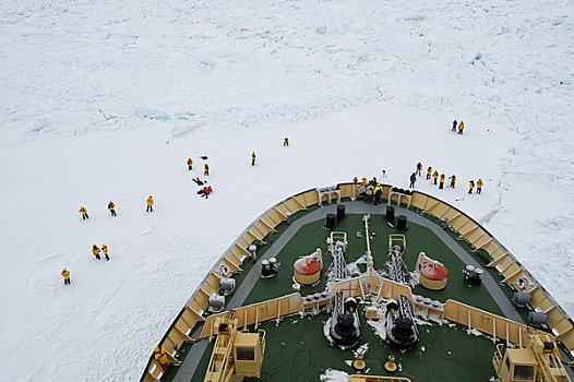 南极,威德尔海,破冰船,停放,迅速,冰,游客,船首