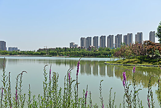西安雁鸣湖