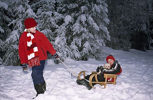 男孩,雪橇运动,树林,小狗,黄昏,阿拉斯加,冬天