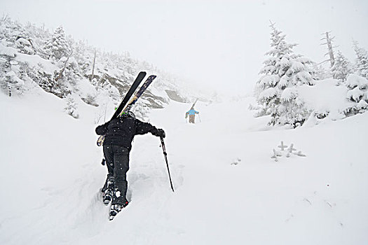 美国,佛蒙特州,滑雪者,远足,向上,山,暴风雪