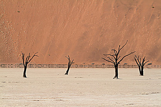 纳米比沙漠,死亡谷,索苏维来地区,纳米比亚