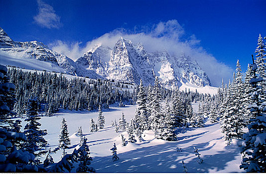 山谷,冬天,艾伯塔省,加拿大