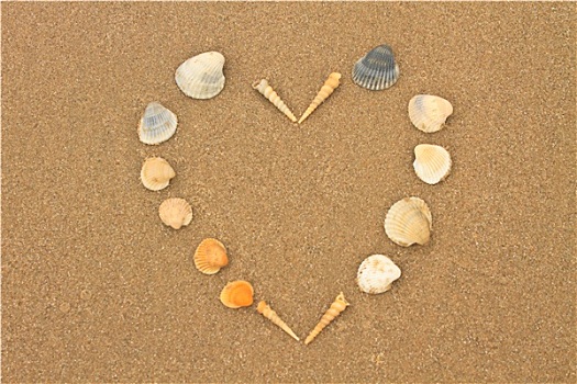 爱心,壳,海滩