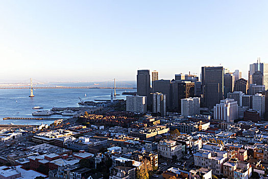 城市,旧金山,天际线,黎明