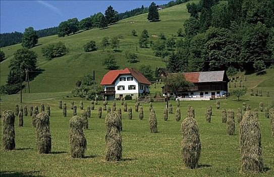 农舍,草地,干草包,奥地利,欧洲