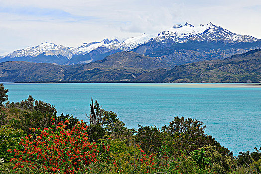 风景,湖,雪冠,山,区域,智利,南美