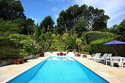 游泳池,假日,屋舍,花园,风景,格恩西岛,峡岛,欧洲