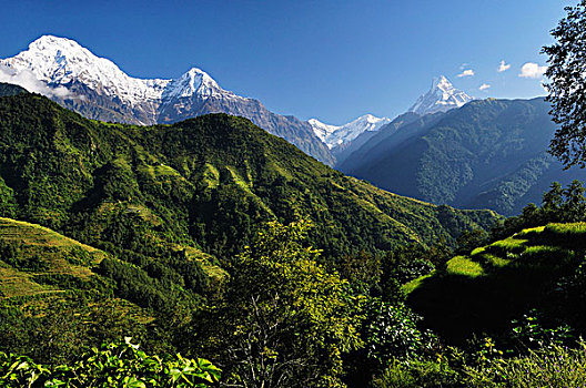 安娜普纳,南,风景,乡村,保护区,尼泊尔