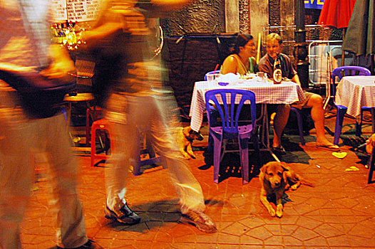 狗,看,道路,曼谷,泰国,十月,2005年