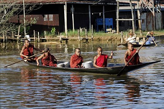 五个,年轻,僧侣,船,茵莱湖,缅甸,东南亚