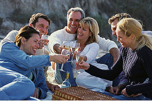 伴侣,坐,海滩,祝酒,葡萄酒杯