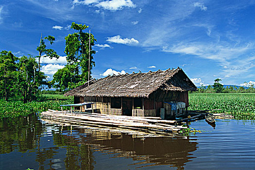 房子,湿地,菲律宾