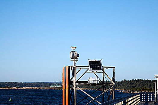 太阳能电池板,航行,码头,海鸥,蓝天
