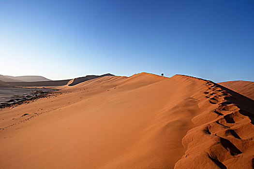 沙丘,隐藏,纳米布沙漠