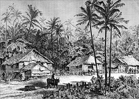 马来西亚,19世纪,艺术家