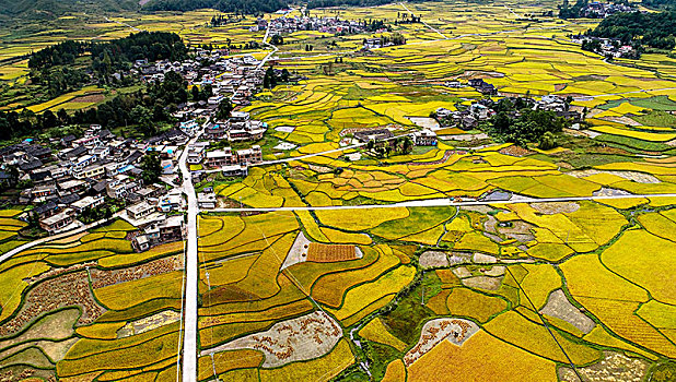 贵州龙里湾滩河镇金批村丰收田园