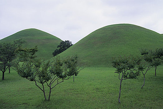 韩国,靠近,釜山,冢,公园,6世纪,墓地