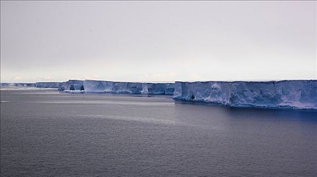 冰,舌头,屏障,罗斯海,南极