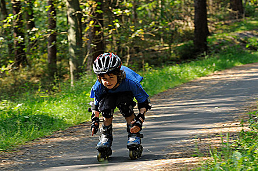 男孩,8岁,直排轮滑,小路,木头,下萨克森,德国,欧洲