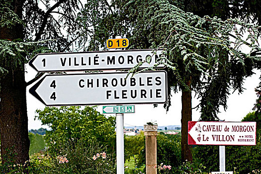 交通标志,博若莱葡萄酒,酒乡,罗纳河谷,法国