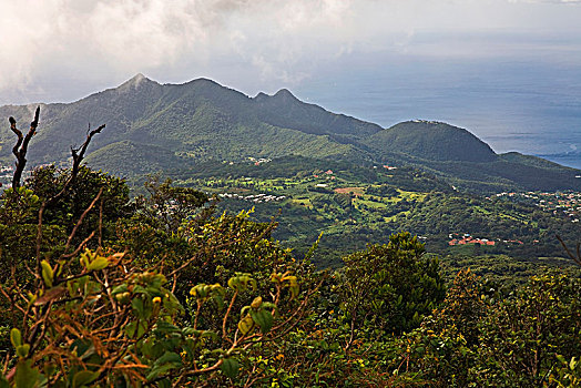 风景,苏佛里耶,火山,郡,巴斯特尔,瓜德罗普,法国,北美