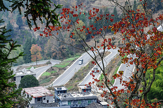 重庆酉阳,崎岖山路抗疫忙