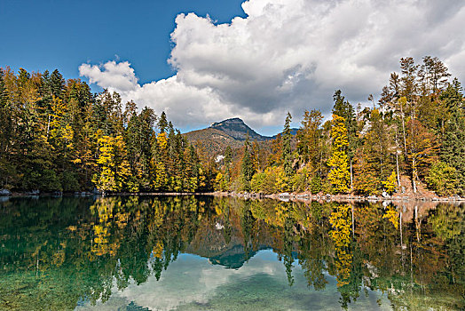 秋日树林,反射,湖,山,萨尔茨卡莫古特,上奥地利州,奥地利,欧洲
