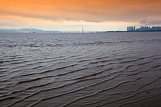 中国广东深圳湾城市风光