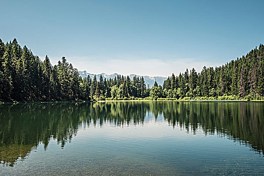 风景,湖,树林,不列颠哥伦比亚省,加拿大