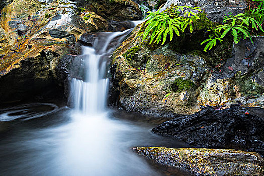 瀑布,溪流,州立公园,大,加利福尼亚,美国